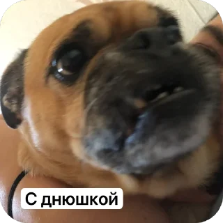 🫥 emoji Бучас отдыхает Telegram sticker 14 of 61