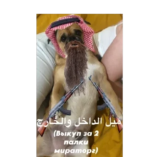 🫥 emoji Бучас отдыхает Telegram sticker 12 of 61