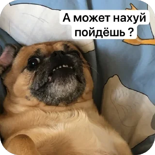 🫥 emoji Бучас отдыхает Telegram sticker 19 of 61