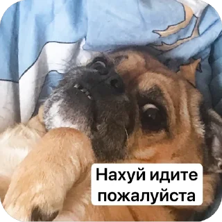 🫥 emoji Бучас отдыхает Telegram sticker 21 of 61