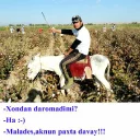 🐴 emoji Sax bacho Telegram sticker 14 of 55