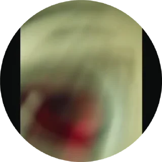 🌟 emoji Лютер чекс стикеры офицал Telegram sticker 5 of 17