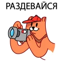🙈 emoji Лис - на хую повис @lis_blog Telegram sticker 23 of 56