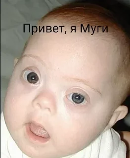 👎 emoji Муги ебаный хуесос и алкаш Telegram sticker 10 of 15
