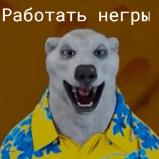🫡 emoji море 2014 Telegram sticker 13 of 55