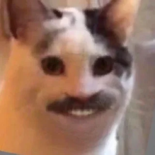 😃 emoji Бодя Потный Telegram sticker 21 of 120