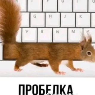 😄 emoji Я далбаеб Telegram sticker 15 of 17
