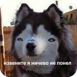 👍 emoji Хубабуба Telegram sticker 19 of 28