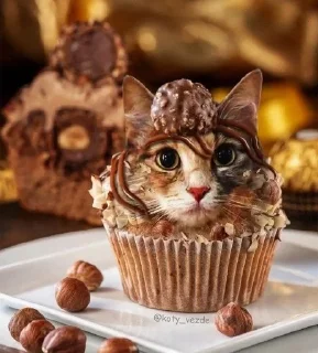 🧁 emoji аккуратно, не съешьте кота Telegram sticker 8 of 120