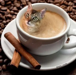 🧁 emoji аккуратно, не съешьте кота Telegram sticker 12 of 120