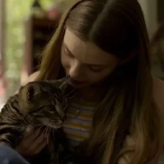 🐈 emoji Looking for Alaska💜 by @F3RM1 Telegram sticker 13 of 107