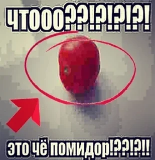 🍅 emoji Бебра Telegram sticker 22 of 24