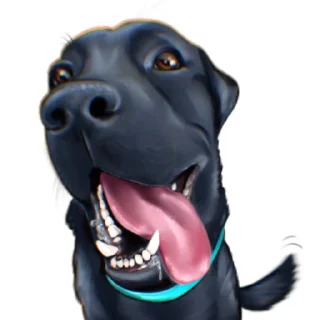 😃 emoji Irvin the dog Telegram sticker 7 of 7
