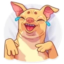 😂 emoji Tuna the Dog Telegram sticker 1 of 35