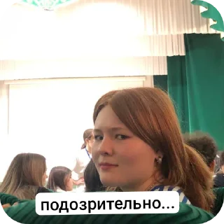 🎢 emoji диана черт Telegram sticker 13 of 33