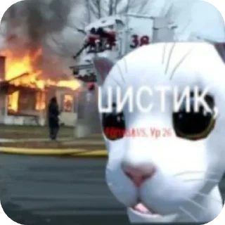 🔥 emoji Фанта и Пушистик кинн Telegram sticker 21 of 21