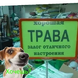 😄 emoji Дэвид Telegram sticker 6 of 57