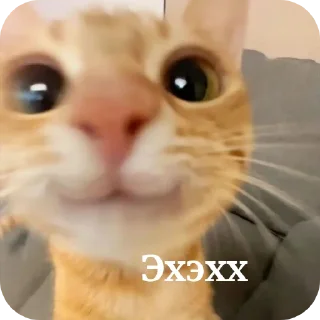 🐱 emoji me core Telegram sticker 8 of 20
