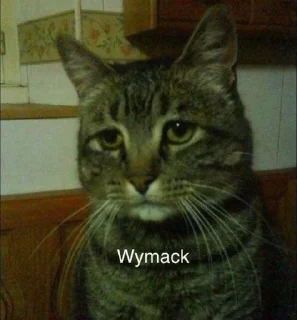 🥹 emoji Усе заради гри 🇺🇦 Telegram sticker 16 of 40