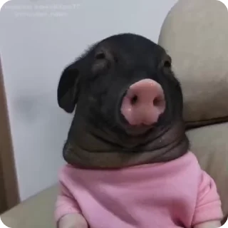 🐽 emoji @flopia тянаячку быыы крутую.. Telegram sticker 16 of 120