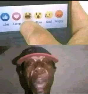 Sticker from Tiktok ahh pics