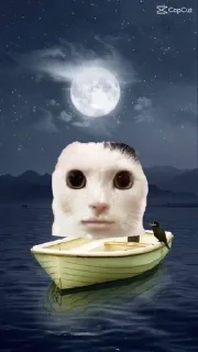 🚤 emoji Много кошее Telegram sticker 6 of 21