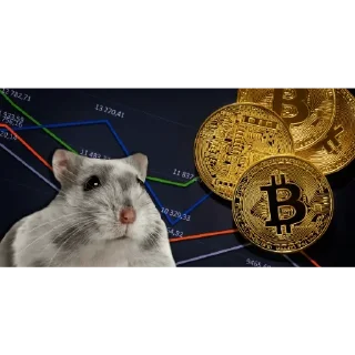 🐱 emoji Приватний заробіток ➥ @Belfort_daily Telegram sticker 11 of 30