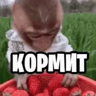 🌟 emoji Приватний заробіток ➥ @Belfort_daily Telegram sticker 14 of 30