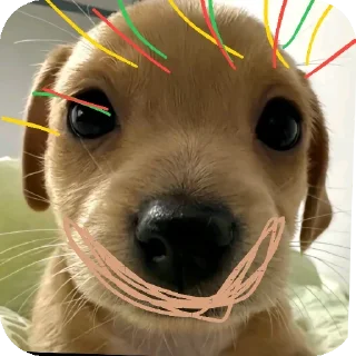 🐶 emoji puppy Telegram sticker 5 of 39