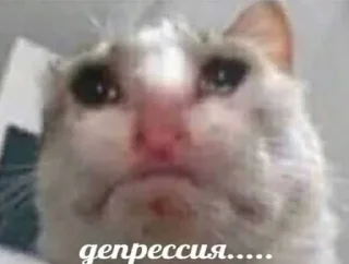 😢 emoji who are you Telegram sticker 13 of 75