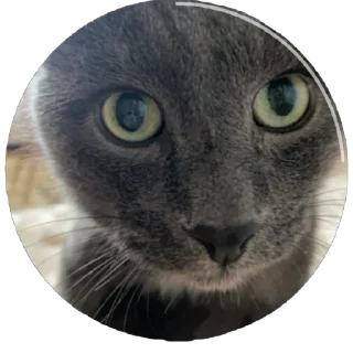 🤯 emoji qschsc Telegram sticker 7 of 43