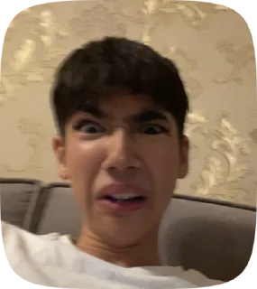 🤡 emoji НЕФОРЫ Telegram sticker 23 of 49