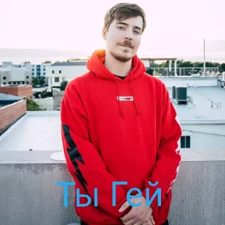 😄 emoji Мистер Бист Telegram sticker 5 of 50