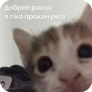 Sticker from джізес