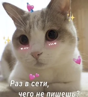💕 emoji 💕💞💓💗💖💘💝🛍 Telegram sticker 15 of 103