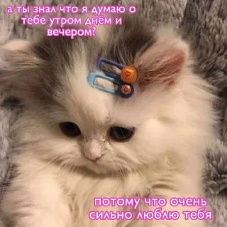 💕 emoji 💕💞💓💗💖💘💝🛍 Telegram sticker 19 of 103