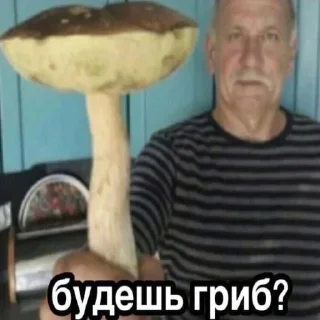 🍄 emoji Хуета Telegram sticker 24 of 30