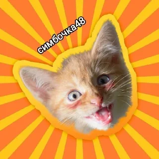 🌟 emoji Симбочка48 Telegram sticker 7 of 13