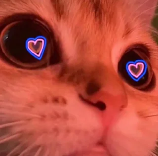 💜 emoji Я устала блять Telegram sticker 6 of 23