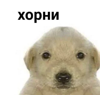 😶‍🌫️ emoji Я устала Telegram sticker 21 of 46