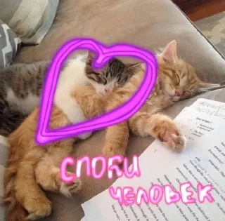 💕 emoji Я устала блять Telegram sticker 5 of 23