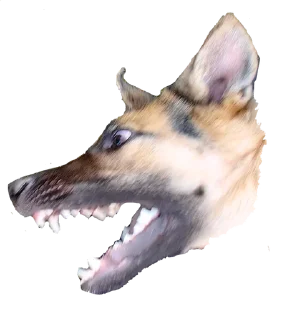 🌟 emoji кАлитка Telegram sticker 22 of 28