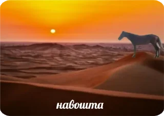 🐴 emoji беларускія мемы для душы Telegram sticker 7 of 57