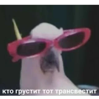 😁 emoji Мемы для АуТиСтОв Telegram sticker 15 of 120