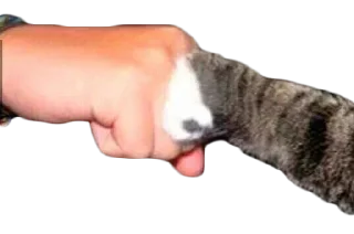 🤝 emoji мемы для славян. Telegram sticker 8 of 46