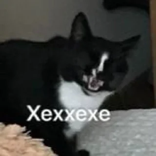 😂 emoji Чурка Telegram sticker 24 of 27