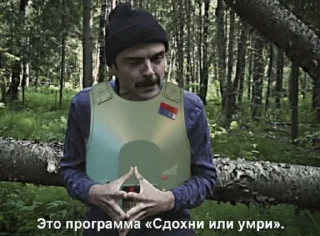 📛 emoji Имперская Дача (🎱) Telegram sticker 11 of 120