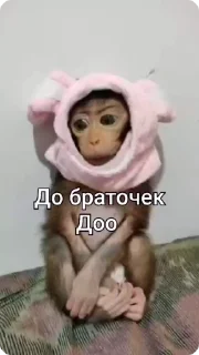 🌟 emoji Манки Telegram sticker 2 of 16