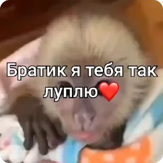 🌟 emoji Манки Telegram sticker 9 of 16