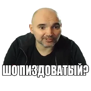 🤔 emoji Мопс Telegram sticker 19 of 54